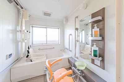 Accessible Bathroom detail